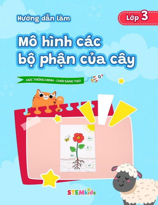 Mô hình các bộ phận của cây